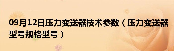 09月12日压力变送器技术参数（压力变送器型号规格型号）