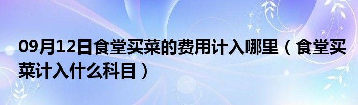 09月12日食堂买菜的费用计入哪里（食堂买菜计入什么科目）