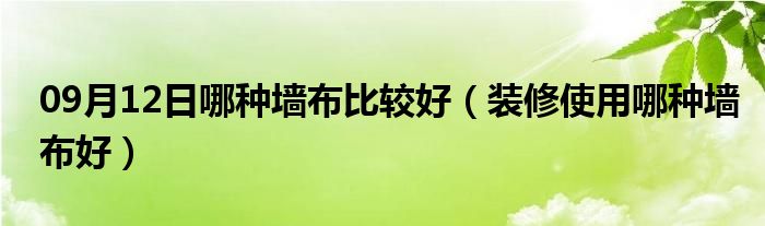 09月12日哪种墙布比较好（装修使用哪种墙布好）