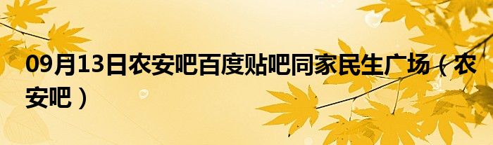 09月13日农安吧百度贴吧同家民生广场（农安吧）