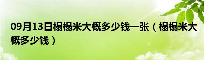 09月13日榻榻米大概多少钱一张（榻榻米大概多少钱）