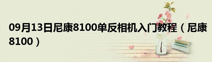 09月13日尼康8100单反相机入门教程（尼康8100）