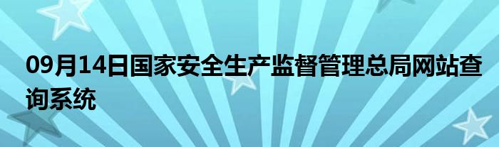 09月14日国家安全生产监督管理总局网站查询系统