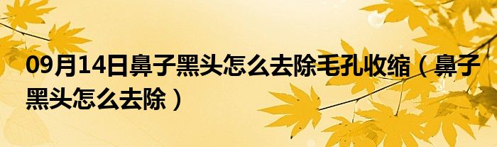 09月14日鼻子黑头怎么去除毛孔收缩（鼻子黑头怎么去除）