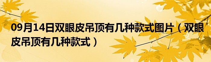 09月14日双眼皮吊顶有几种款式图片（双眼皮吊顶有几种款式）