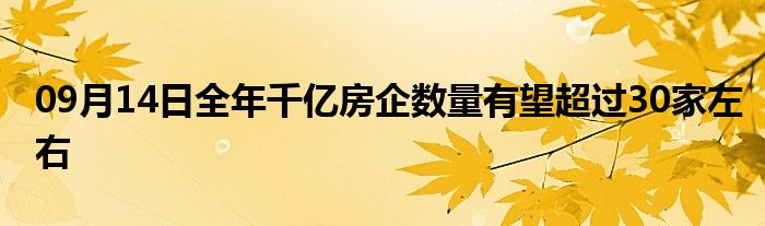 09月14日全年千亿房企数量有望超过30家左右