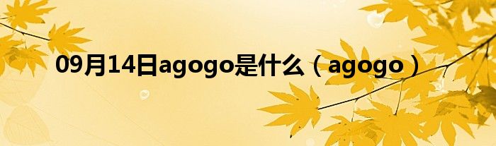 09月14日agogo是什么（agogo）