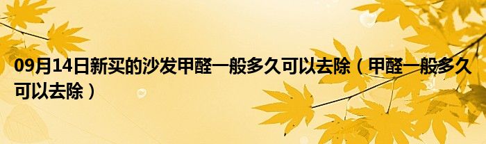 09月14日新买的沙发甲醛一般多久可以去除（甲醛一般多久可以去除）