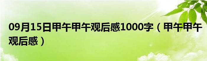 09月15日甲午甲午观后感1000字（甲午甲午观后感）