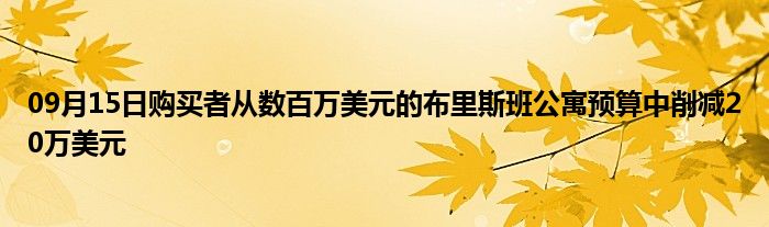 09月15日购买者从数百万美元的布里斯班公寓预算中削减20万美元