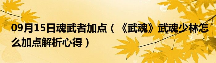 09月15日魂武者加点（《武魂》武魂少林怎么加点解析心得）