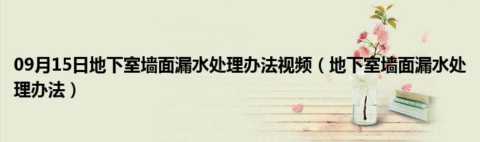 09月15日地下室墙面漏水处理办法视频（地下室墙面漏水处理办法）