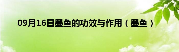 09月16日墨鱼的功效与作用（墨鱼）