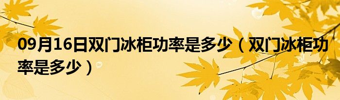 09月16日双门冰柜功率是多少（双门冰柜功率是多少）