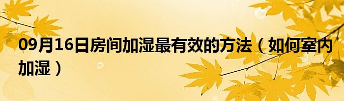 09月16日房间加湿最有效的方法（如何室内加湿）