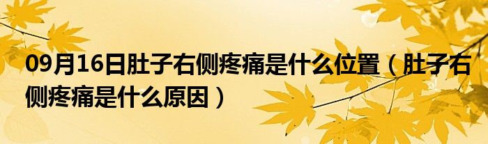 09月16日肚子右侧疼痛是什么位置（肚子右侧疼痛是什么原因）