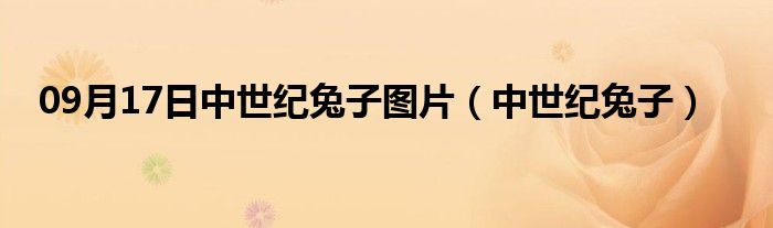 09月17日中世纪兔子图片（中世纪兔子）