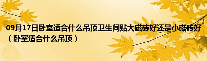 09月17日卧室适合什么吊顶卫生间贴大磁砖好还是小磁砖好（卧室适合什么吊顶）