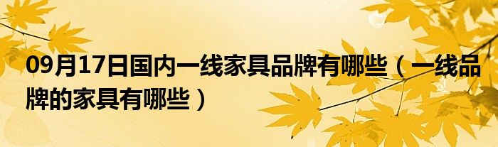 09月17日国内一线家具品牌有哪些（一线品牌的家具有哪些）