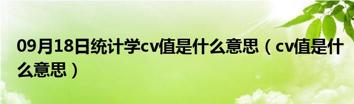 09月18日统计学cv值是什么意思（cv值是什么意思）