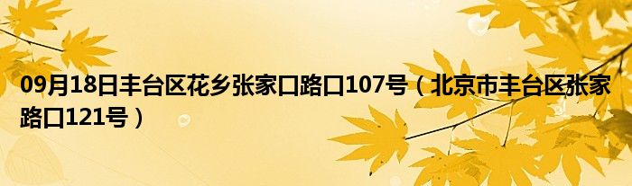 09月18日丰台区花乡张家口路口107号（北京市丰台区张家路口121号）