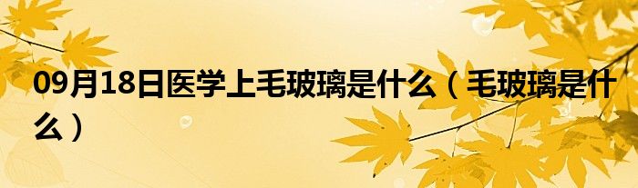 09月18日医学上毛玻璃是什么（毛玻璃是什么）