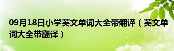 09月18日小学英文单词大全带翻译（英文单词大全带翻译）