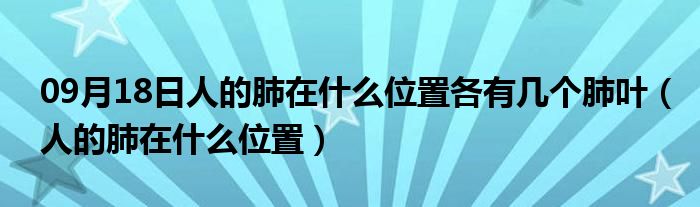 09月18日人的肺在什么位置各有几个肺叶（人的肺在什么位置）