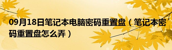 09月18日笔记本电脑密码重置盘（笔记本密码重置盘怎么弄）