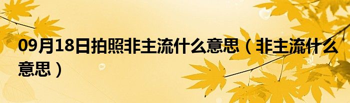 09月18日拍照非主流什么意思（非主流什么意思）