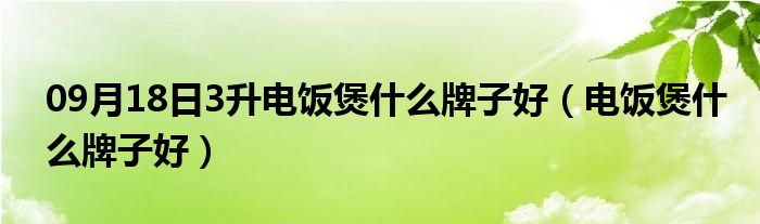 09月18日3升电饭煲什么牌子好（电饭煲什么牌子好）