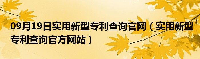 09月19日实用新型专利查询官网（实用新型专利查询官方网站）