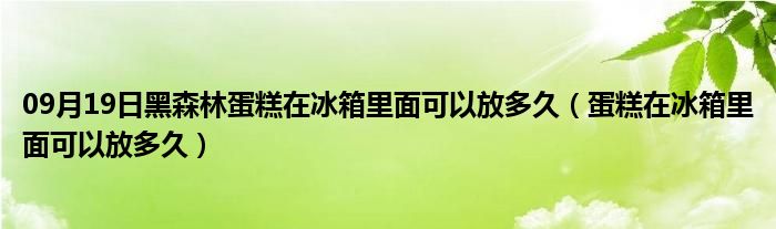 09月19日黑森林蛋糕在冰箱里面可以放多久（蛋糕在冰箱里面可以放多久）