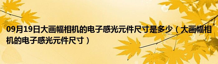 09月19日大画幅相机的电子感光元件尺寸是多少（大画幅相机的电子感光元件尺寸）