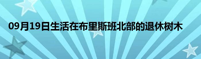 09月19日生活在布里斯班北部的退休树木