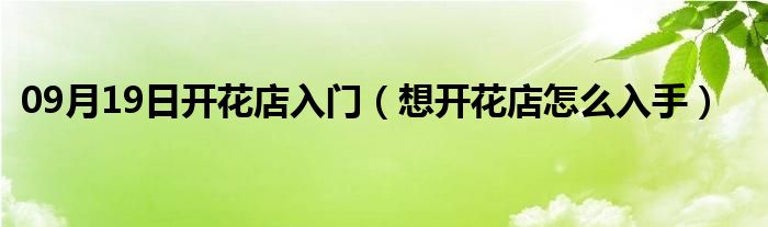 09月19日开花店入门（想开花店怎么入手）