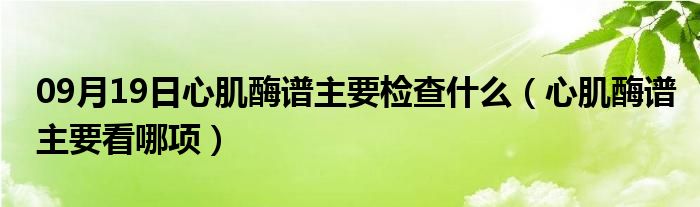 09月19日心肌酶谱主要检查什么（心肌酶谱主要看哪项）