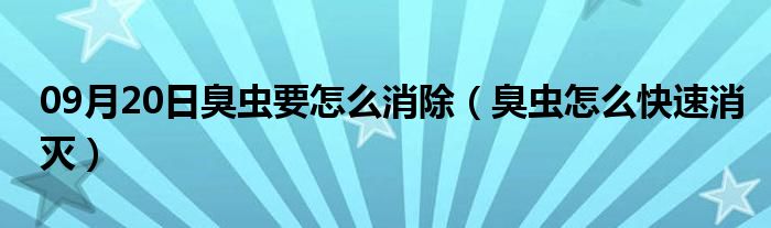 09月20日臭虫要怎么消除（臭虫怎么快速消灭）