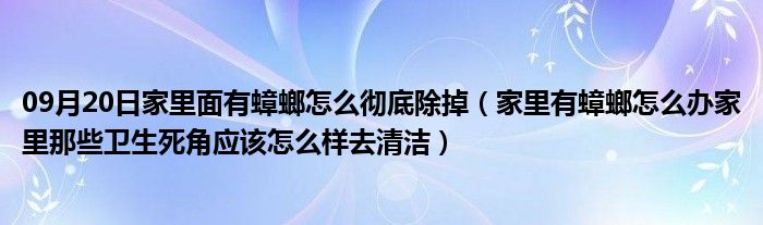 09月20日家里面有蟑螂怎么彻底除掉（家里有蟑螂怎么办家里那些卫生死角应该怎么样去清洁）