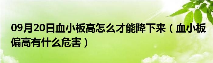 09月20日血小板高怎么才能降下来（血小板偏高有什么危害）