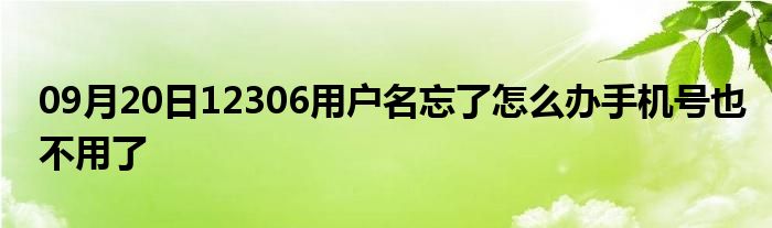 09月20日12306用户名忘了怎么办手机号也不用了