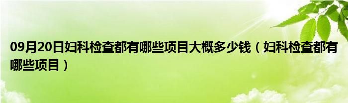 09月20日妇科检查都有哪些项目大概多少钱（妇科检查都有哪些项目）