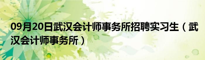 09月20日武汉会计师事务所招聘实习生（武汉会计师事务所）