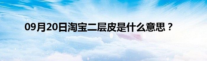 09月20日淘宝二层皮是什么意思？