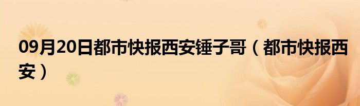 09月20日都市快报西安锤子哥（都市快报西安）