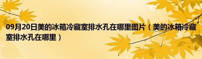 09月20日美的冰箱冷藏室排水孔在哪里图片（美的冰箱冷藏室排水孔在哪里）