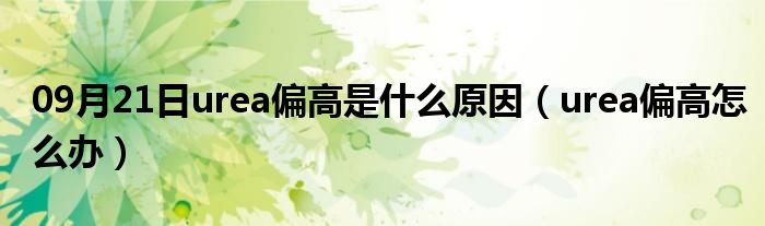 09月21日urea偏高是什么原因（urea偏高怎么办）