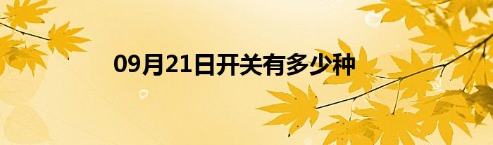 09月21日开关有多少种