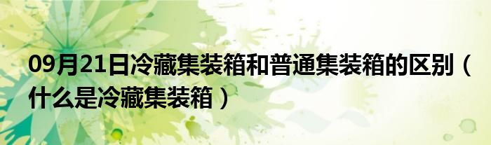 09月21日冷藏集装箱和普通集装箱的区别（什么是冷藏集装箱）