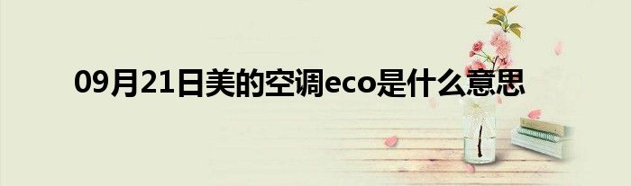 09月21日美的空调eco是什么意思